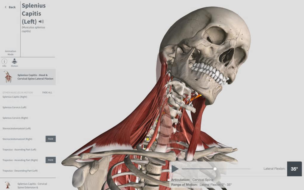 complete anatomy free trial